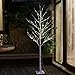 EAMBRITE 6FT 88LT Warm White LED Winter Artificial Birch Wedding Christmas Home Decorative Tree Light for Indoor and Outdoor Use
