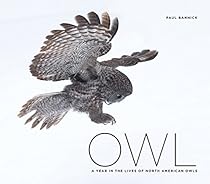 Owl: A Year in the Lives of North American Owls Owl: A Year in the Lives of North American Owls