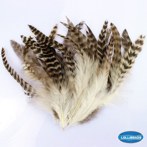LolliBeads (TM) 20 Pcs Natural Brown Goose Feather with White Gray Stripes