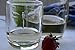 La Rochere Dragonfly Glass Tumbler Set of 6 - Drinking Glasses for Any Occasion — Dishwasher Safe Glassware Sets - Tumbler Glass Perfect for a Dinner Party - Glass Set (10 oz)