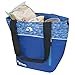 Igloo 59974 Stowe 12 Cooler Tote, Blue
