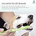 BC Pets Dog Toothbrush for Dogs & Cats - Dog Dental Care Kit with 2 x Finger Pet Tooth Brush, 2-Ended Dog Tooth Brush & Dual-Head Puppy Toothbrush - Small, Medium, Large Breed Dog Teeth Cleaning Set