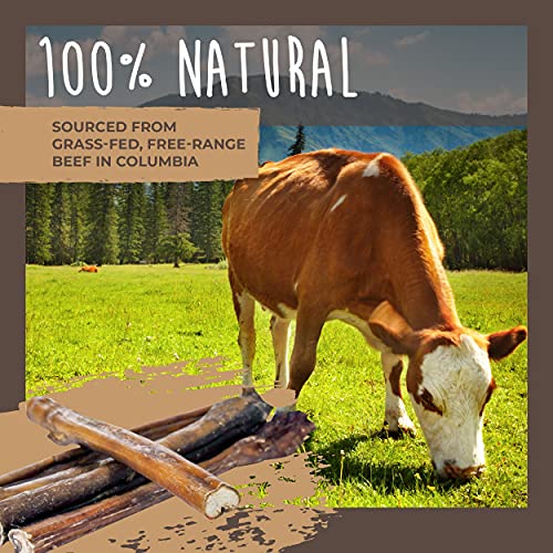 Mighty Paw Naturals Large Bully Sticks for Dogs, Protein Rich Dog