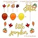 Faisichocalato Little Pumpkin Party Decorations, Glitter Little Pumpkin Banner, Latex Balloons, Cake Toppers for Fall Baby Shower Thanksgiving Birthday Party Supplies