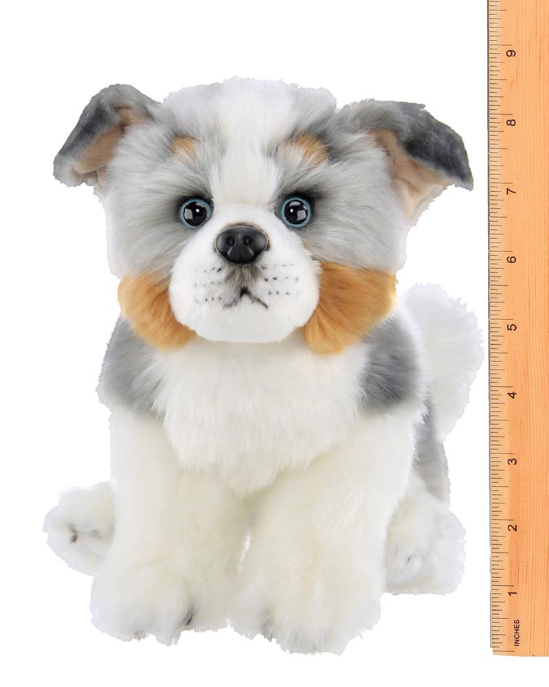 australian shepherd stuffed animal