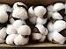 10 Pieces of Natural and Synthetic Blend Cotton bolls (Balls) for Wreaths, Decor, Off Stick Branches Wired raw Look White Cotton Branch Picks