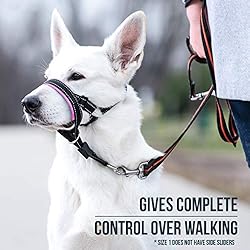 GoodBoy Dog Head Halter with Safety Strap - Stops