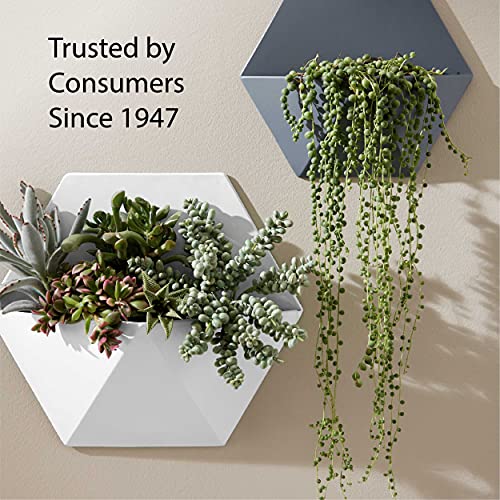 Krylon K05588007 COLORmaxx Spray Paint and Primer for Indoor/Outdoor