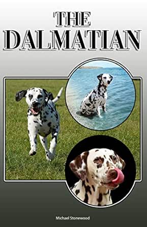 buying a dalmatian