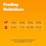 Pedigree Mixed Selection in Gravy 40 Pouches 100 g Mega Pack Adult Wet Dog Food view 4