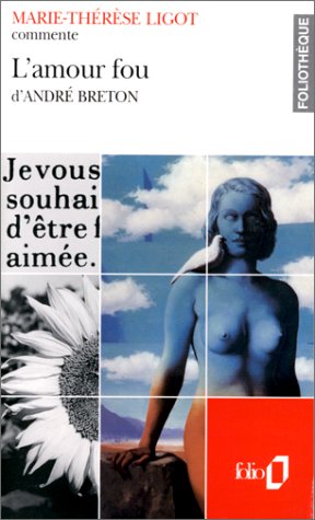 Amour Fou Fo Th (Foliotheque) (French Edition) Amour Fou Fo Th (Foliotheque) (French Edition)