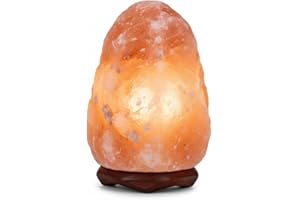 Himalayan Salt Lamp (6-8 in), Dimmer, Natural Light, Natural Salt Rock Lamp