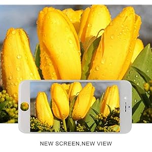 Brinonac per iPhone 11 Schermo LCD, 6,1" Display 3D Touch Screen Digitizer Parti di Ricambio con Strumenti di Riparazione e Protezione Schermo - immagine 6