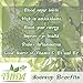 Soursop Tea 30 Bags | 100% Natural Organic Tea Bags | Immunity Boosting Soursop Tea Bags | Fight Inflammation With Soursop Leaves | Herbal Life Tea From Guanabana Leaves | Graviola \ Soursop Fruit Tea
