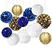 Wcaro White Navy Blue Gold 8inch 10inch Tissue Paper Pom Pom Paper Flowers Paper Honeycomb Paper Lanterns for Navy Blue Themed Party,Party Decoration Bridal Shower Decor Baby Shower Decoration