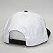 The Vintage Year Urban Flat Bill Snapback Blank Hawaiian Two Tone Cotton Adjustable Hip Hop Hats Baseball Caps (Black/White)