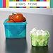 21 Day Portion Control Containers (7 Piece) Colored Set Meal Prep Kit for Diet Weight Loss + FREE 21 Days Planner +2 E-Books +U/Guide +Measuring Tape +Mobile Stand by All-Green Products
