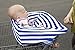 Kiddo Care Car Seat Cover I Canopy I stroller cover I Shopping Cart Cover I High Chair Cover I Multipurpose Canopy (Blue and White Stripes)