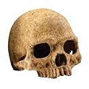Exo Terra Primate Skull Terrarium D