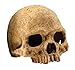 Exo Terra Primate Skull Terrarium D primary