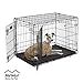 Dog Crate 1536DDU | MidWest ICrate 36 Inches Double Door Folding Metal Dog Crate w/ Divider Panel, Floor Protecting Feet & Leak Proof Dog Tray | Intermediate Dog Breed, Black primary