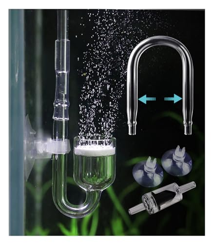 Clscea Glass CO2 Diffuser