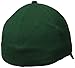 Under Armour Men's Curved Brim Stretch Fit Cap, Forest Green/White, Large/X-Large