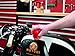 Griot's Garage 10642 3