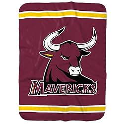 Colorado Mesa University Primary Logo Stripes