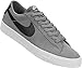 Nike Men's SB Zoom Dunk Low Pro Skate Shoe