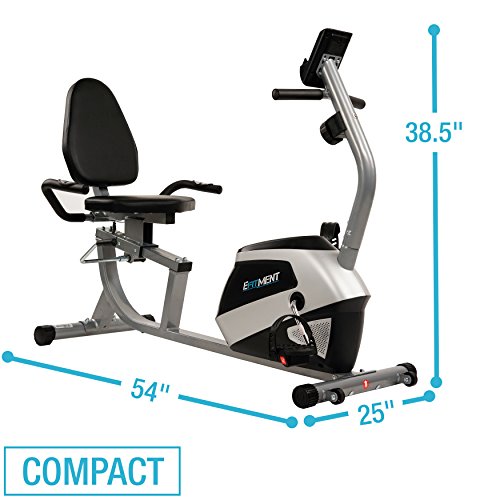 EFITMENT Recumbent Bike Exercise Bike with High Weight