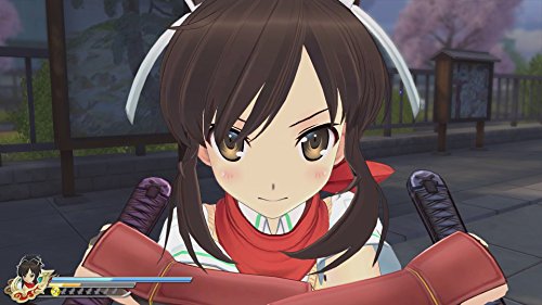 Senran Kagura Estival Versus - PlayStation 4