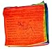 Prayer Flags Tibetan Lg Neon 10 X 10 Inches Wind Horse Lungta, 21 SET, 18 FT Long