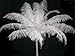 Six Star Sales Ostrich Deluxe Formal Snow White Feather Plume 18-24