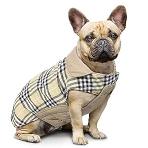 Hund umkehrbar Schottenkaro Mantel Herbst Winter warme gemütliche Weste Britischen Stil Hund gefütterte Jacke für Kleine…