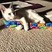 Catnip Kicker Toy Set of 2 (11