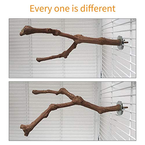 cuckooX Natural Wood Grapevine Bird Cage Perch For Parrot Cages Bird Standing Sticks Wood Pole