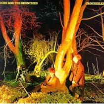 Echo And The Bunnymen – Crocodiles Echo And The Bunnymen - Crocodiles: Amazon.com.br: CD e Vinil