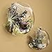 Pack of 2 Larger Wall Bubble Terrariums Glass Bowl 6“ Wall Mounted Glass Vase for Dried Flowers Tillandsia Air Plants Holders Wall Hanging Succulents Planters