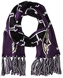 NFL Baltimore Ravens '47 Brand Breakaway Scarf with Tassels, Purple, One Size
