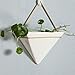 Hanging Planter For Indoor Plants, Geometric Wall Decorative Flower Pot