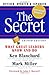 The Secret: What Great Leaders Know -- And Do - Book by Ken Blanchard
