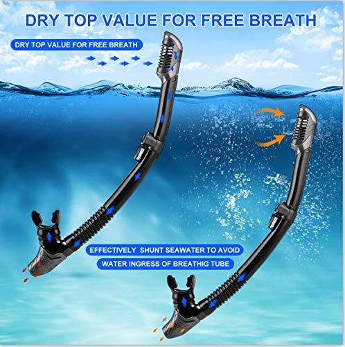 Charlemain Dry Snorkel Set, HD Panoramic View, Anti-Fog and Anti-Leakage, Adjustable, Safe material, Scuba Diving Mask for Professional Snorkeling Adults