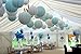 Furuix Baby Shower Decorations for Boy 16 pcs White Baby Blue Tissue Pom Pom Flower and Paper Lanterns First Birthday Party Decorations Frozen Baby Shower Party Decoration Set for Boy