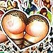 50pcs Sexy Demonic Girl Hot Girl Devil Girl Stickers Various Car Motorcycle Bicycle Skateboard Laptop Luggage Vinyl Bumper Decals For Adult (Sexy Demonic Girl)