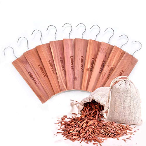 Ollieroo Moth Protection Repellent 10x Cedar Hang Up & 2X Cedar Sachets Bag with Light Cedar Fragrance Odor Protection for wardrobes Large Size 9.05
