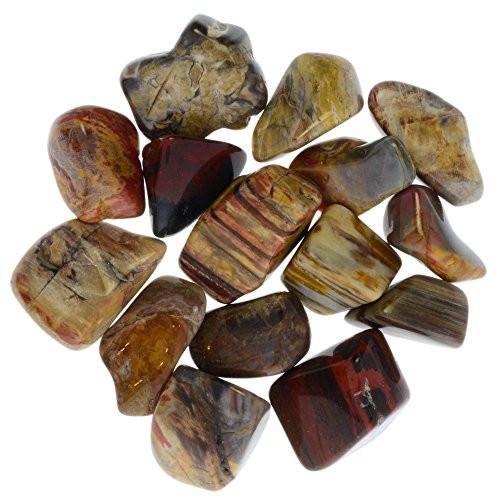 Digging Dolls: 1/2 lb Tumbled Petrified Wood Stones from Madagascar - 0.75
