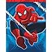 Spiderman Party Supplies Pack for 16 Guests: Dinner Plates, Luncheon Napkins, Cups, and Table Cover