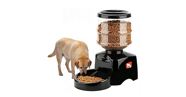 Mumoo Bear Automatic Timed Quantitative Pet Feeder Buy Online At