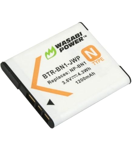 Amazon.com : Rechargeable Li-ion Battery (2-Pack) for Sony